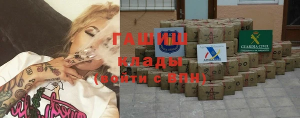 шишки Абаза