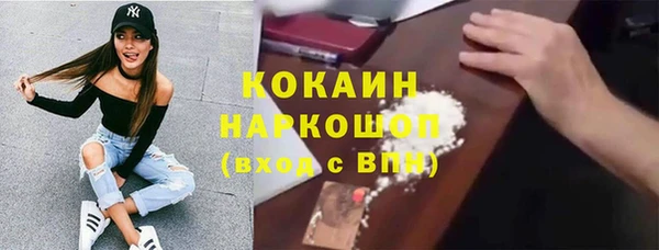 шишки Абаза