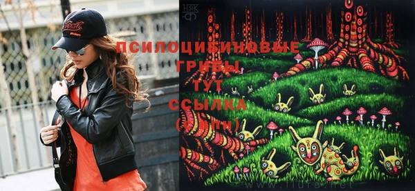 трава Абинск