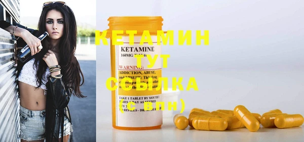 шишки Абаза