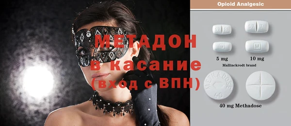 шишки Абаза