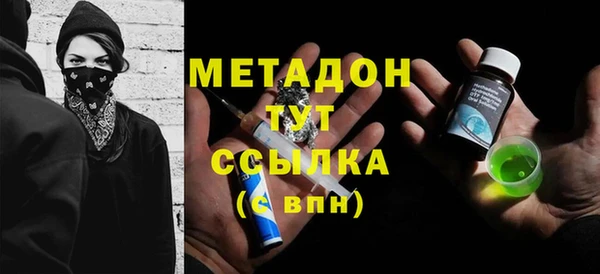 прущие грибы Алзамай