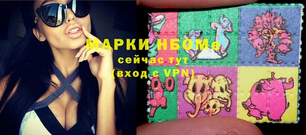 прущие грибы Алзамай
