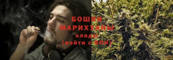 шишки Абаза