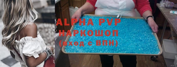 шишки Абаза