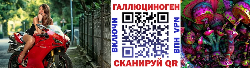 цены наркотик  Елизово  Галлюциногенные грибы прущие грибы 