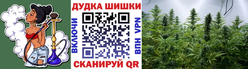 МАРИХУАНА сатива Елизово